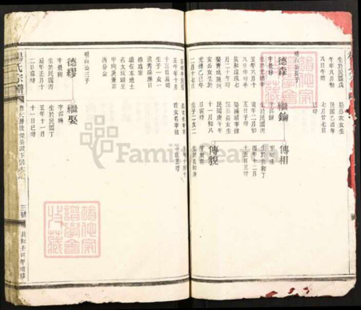 浙江省温州市瑞安市瑞安杨氏绍槐堂族谱-杨氏宗谱.pdf电子版预览图4