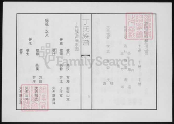 山东省聊城市东阿县山东省泰安市丁氏族谱-丁氏续修族谱.pdf电子版预览图4