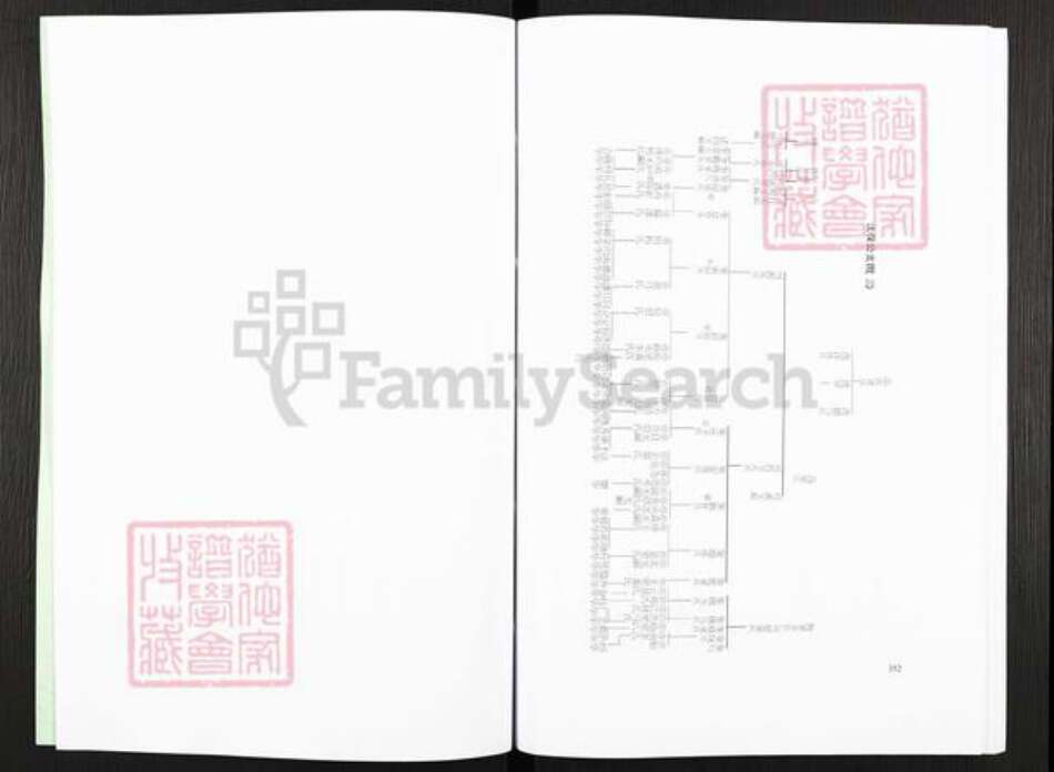 广西壮族自治区玉林平南大鹏镇岑氏族谱-岑氏族谱.pdf电子版预览图4