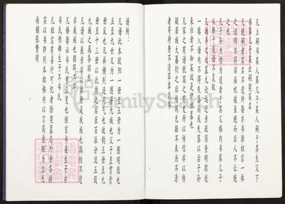 江苏省扬州市高邮市龙虬镇陈氏星聚堂族谱-星聚堂陈氏宗谱.pdf电子版预览图4