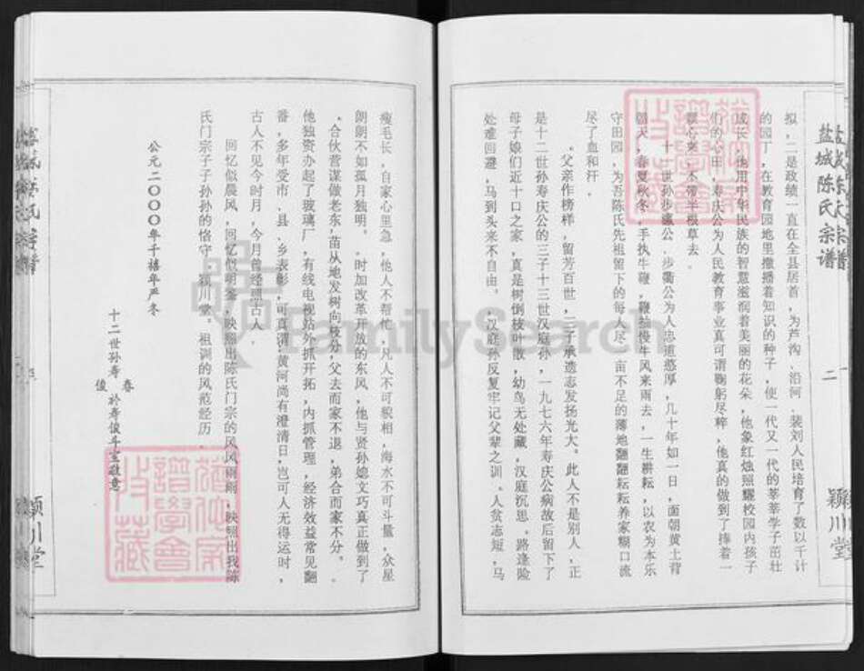 江苏省盐城市建湖县陈氏颖川堂族谱-盐城陈氏宗谱.pdf电子版预览图4