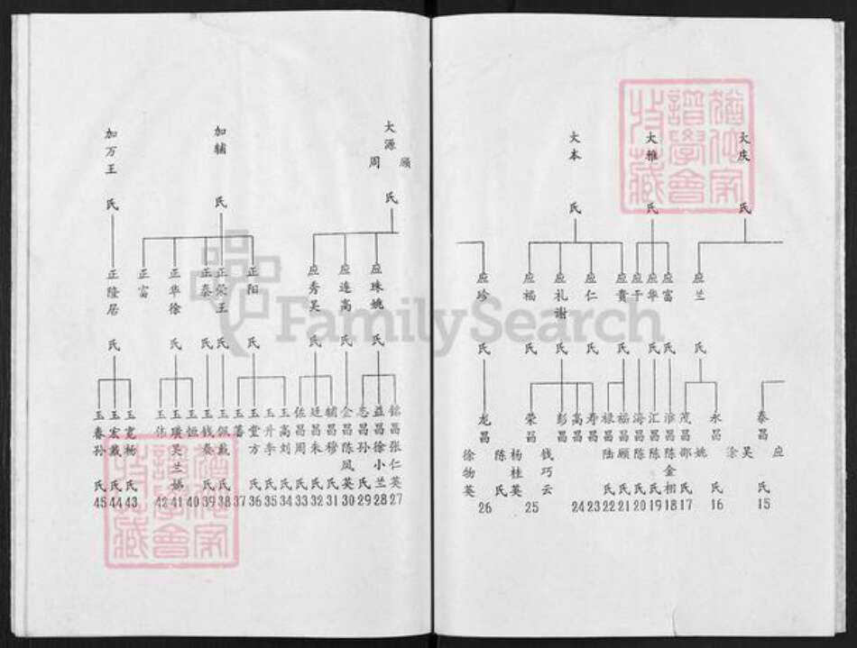 江苏省扬州市高邮市陈氏颖川堂族谱-陈氏谱书.pdf电子版预览图4