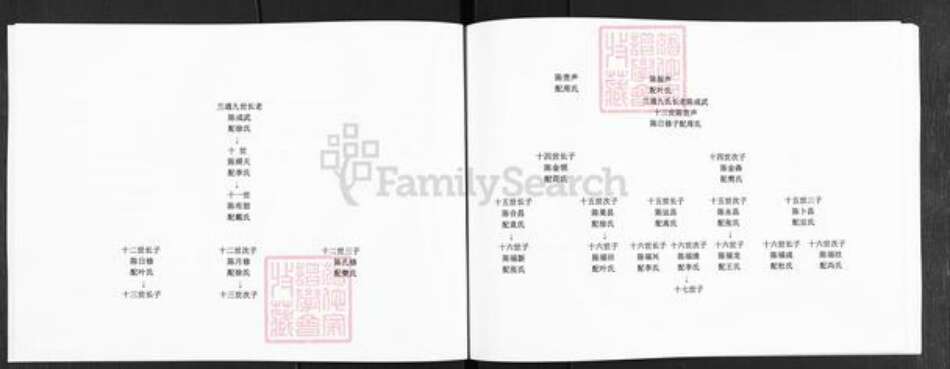 河南省新乡市长垣县满村镇陈氏族谱-陈氏家谱.pdf电子版预览图4