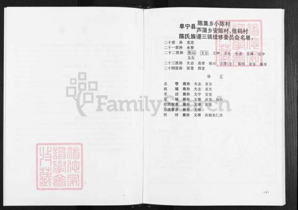 江苏省盐城市阜宁县陈集镇陈氏族谱-陈氏家谱.pdf电子版预览图4