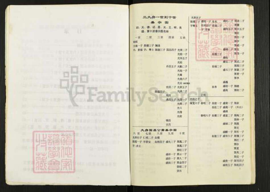 重庆市潼南区太安镇陈氏族谱-陈氏族(简)谱.pdf电子版预览图4