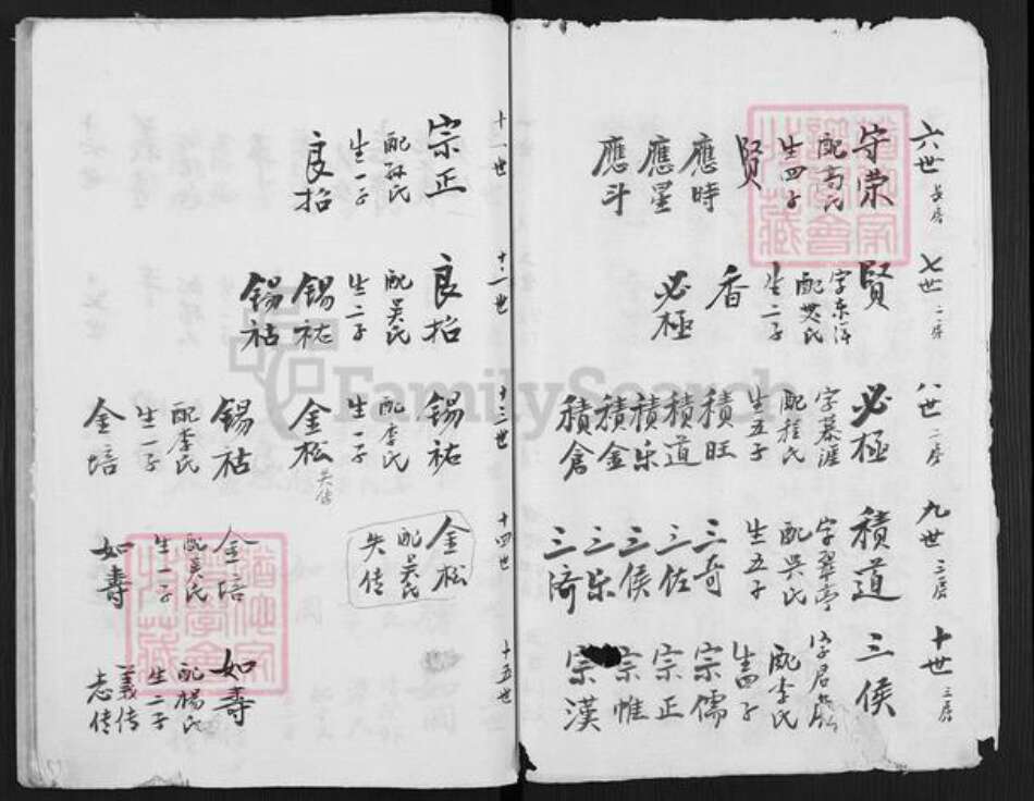 江苏省盐城市亭湖区伍佑街道陈氏族谱-陈门家谱.pdf电子版预览图4