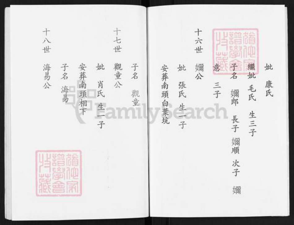 福建省南平市建阳区回龙乡陈氏颖川堂族谱-陈氏族谱.pdf电子版预览图4