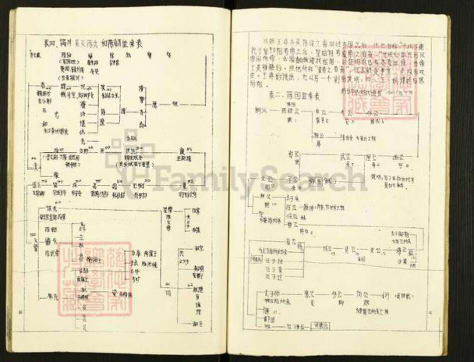 广东省河源市和平林寨镇陈氏族谱-廷念公裔祖谱.pdf电子版预览图4