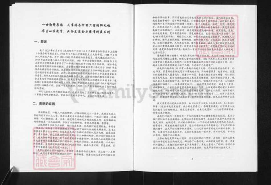 陕西省西安市戴氏族谱-戴氏家谱.西安支.pdf电子版预览图4