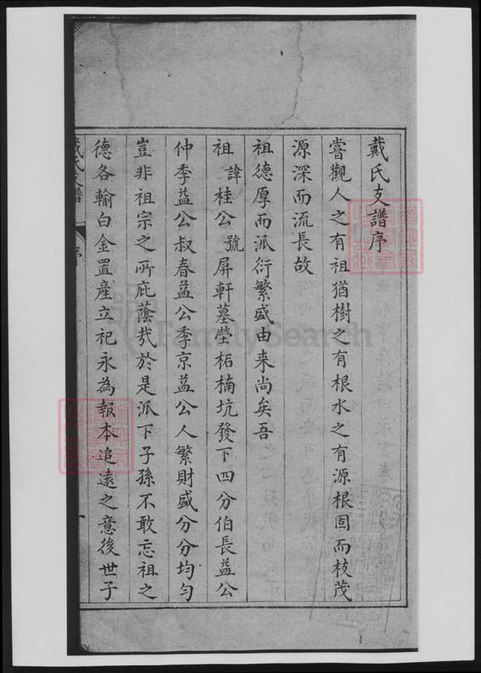 安徽省宣城市绩溪县戴氏族谱-戴氏支谱.pdf电子版预览图4