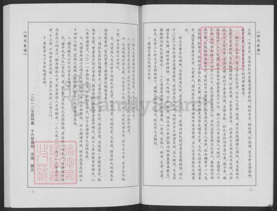 河南省郑州市登封市石道乡杜氏族谱-杜氏家谱.pdf电子版预览图4