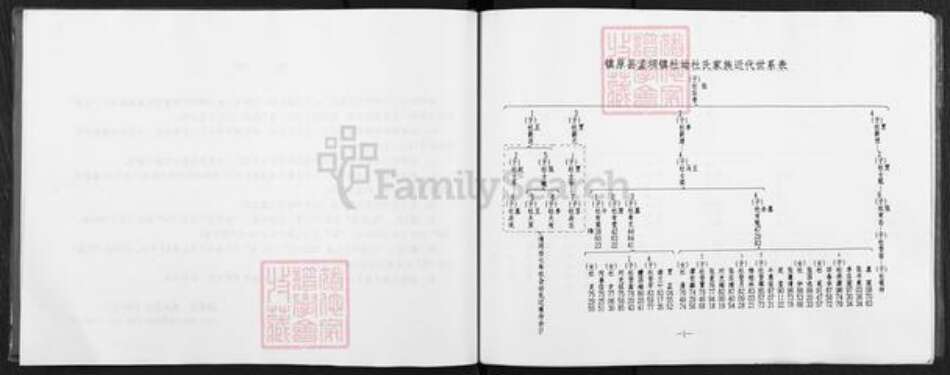 甘肃省庆阳市镇原县杜氏族谱-杜氏家谱.pdf电子版预览图4