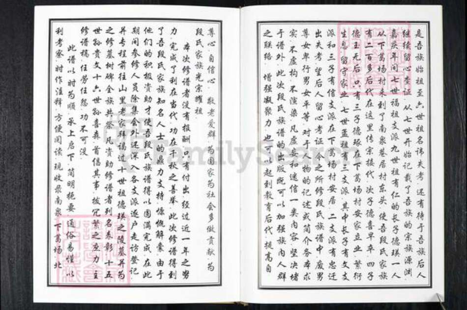 山东省青岛市段氏族谱-段氏族谱.pdf电子版预览图4