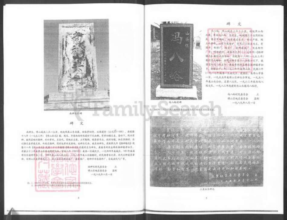 山东省淄博市博山区冯氏富厚堂族谱-冯氏族谱.pdf电子版预览图4