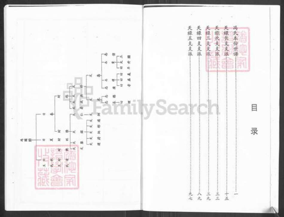 山东省烟台市栖霞市冯氏族谱-冯氏本分世谱.pdf电子版预览图4