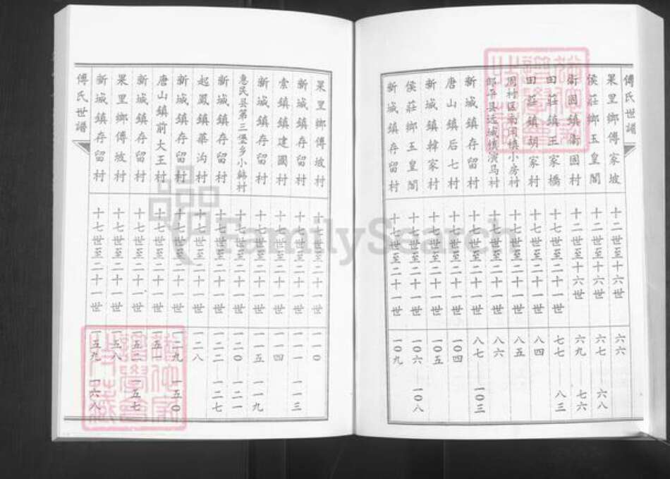 山东省淄博市桓台县新城镇傅氏族谱-傅氏世谱.pdf电子版预览图4