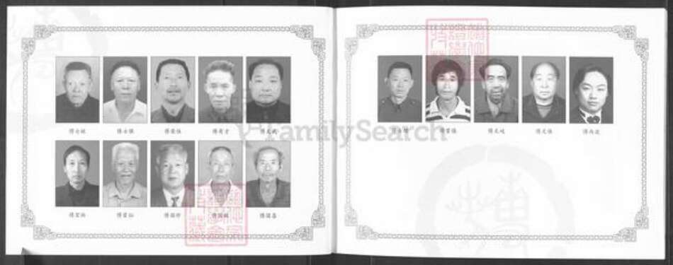 河南省南阳市镇平县杨营镇傅氏族谱-傅氏傅登世系族谱.pdf电子版预览图4