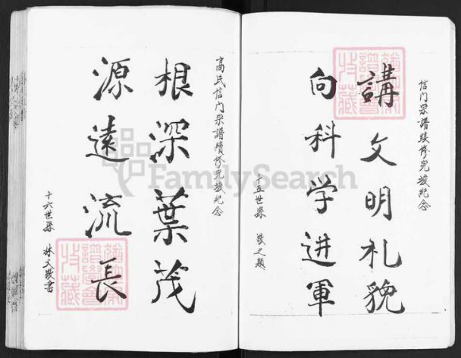 江苏省盐城市建湖县庆丰镇高氏渤海堂族谱-古盐高氏宗谱.信门.pdf电子版预览图4