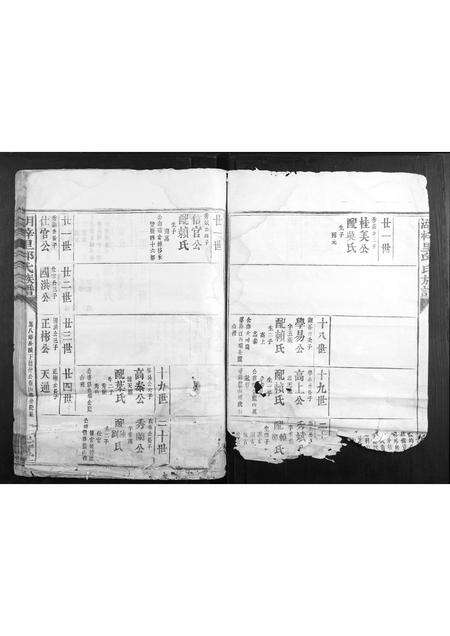 福建邱氏族谱-湖梓里邱氏族谱.pdf电子版预览图4