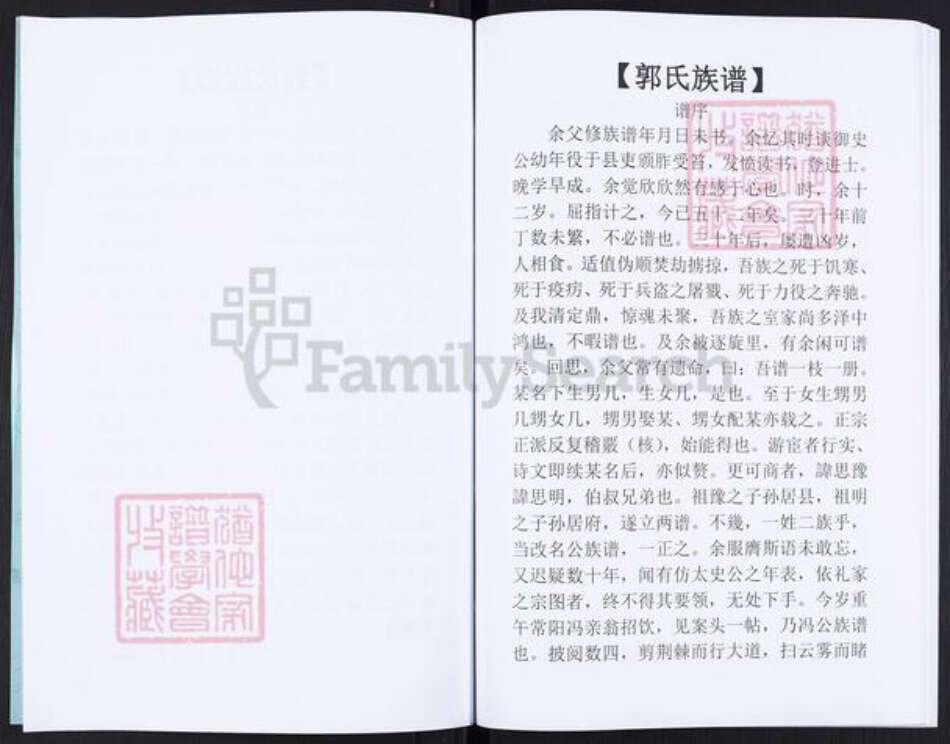 河南省新乡市获嘉县位庄乡郭氏族谱-郭氏族谱.pdf电子版预览图4