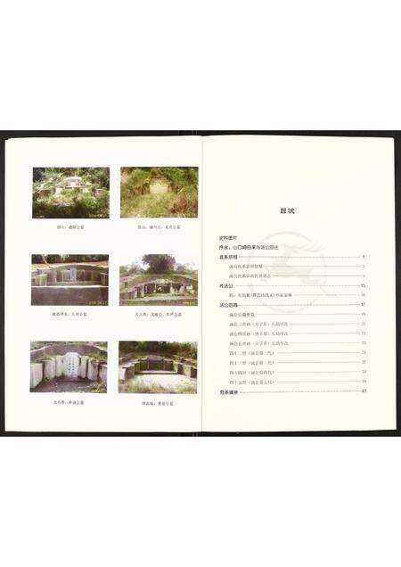 福建汤氏族谱-前林祚汤氏家谱.pdf电子版预览图4