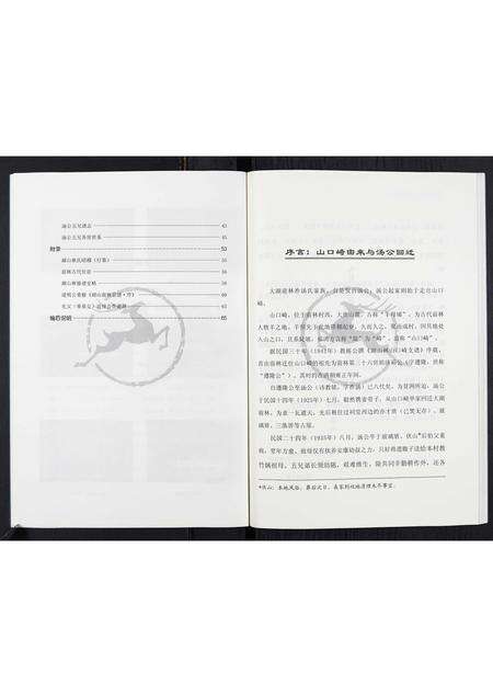 福建汤氏族谱-汤氏家谱.pdf电子版预览图4