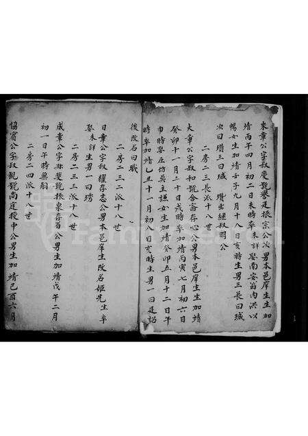 福建唐氏族谱-清溪温泉唐氏族谱.pdf电子版预览图4