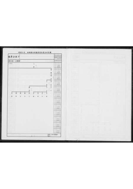 福建王氏族谱-北社尾王姓宗祠德厚公派下系谱.pdf电子版预览图4