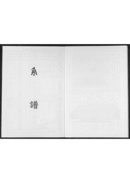 福建王氏族谱-南安渡台贵峰王氏族谱.pdf电子版预览图4