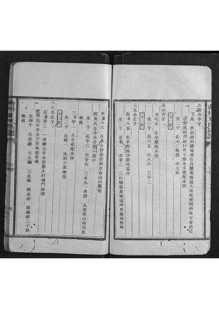 福建王氏族谱-唐科王氏族谱.pdf电子版预览图4