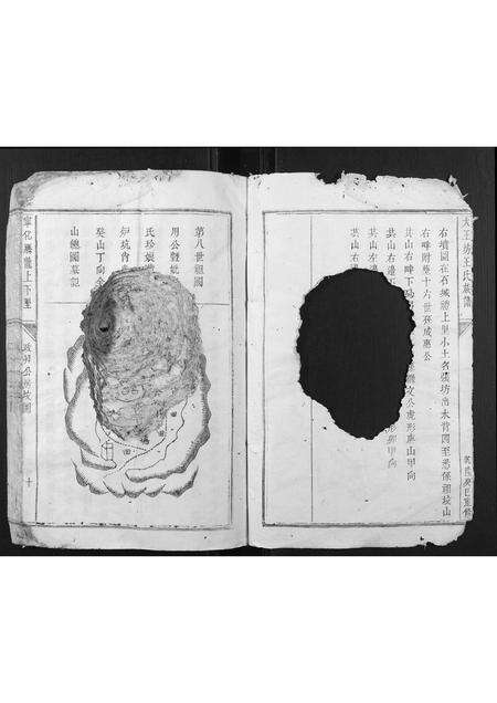 福建王氏族谱-大王坊王氏族谱.pdf电子版预览图4