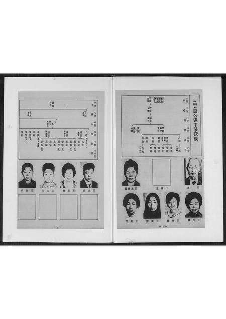 福建王氏族谱-安溪王氏家谱.pdf电子版预览图4