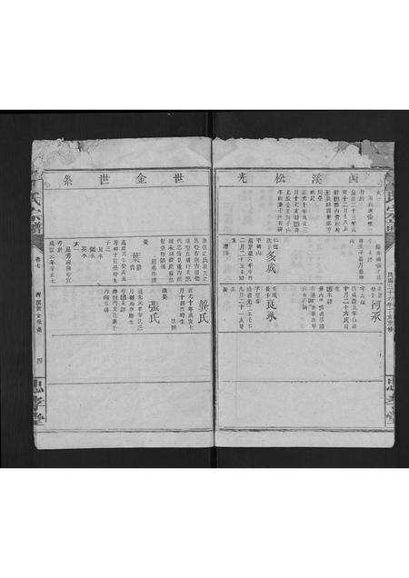 福建丁氏族谱-丁氏宗谱.pdf电子版预览图4