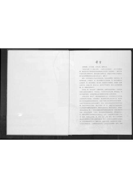 福建王氏族谱-泉州王氏百家祠.pdf电子版预览图4