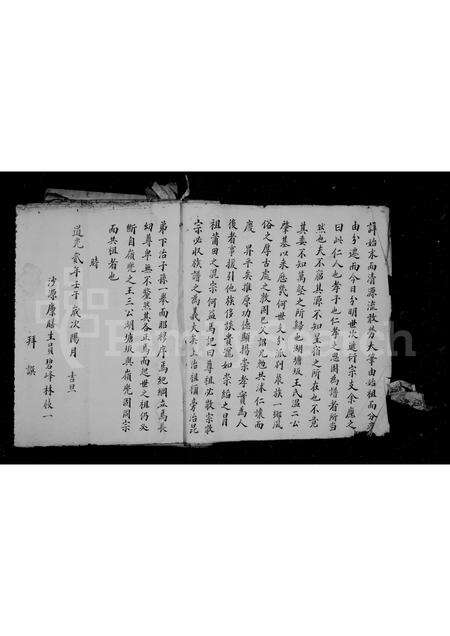 福建王氏族谱-湖塘坂溪王氏族谱.pdf电子版预览图4