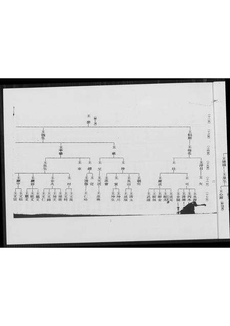 福建王氏族谱-[王氏]巡忠公派下族谱.pdf电子版预览图4
