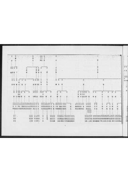 福建王氏族谱-王氏世系图. 高雄王文医家族.pdf电子版预览图4