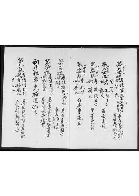 福建王氏族谱-王氏家谱.pdf电子版预览图4