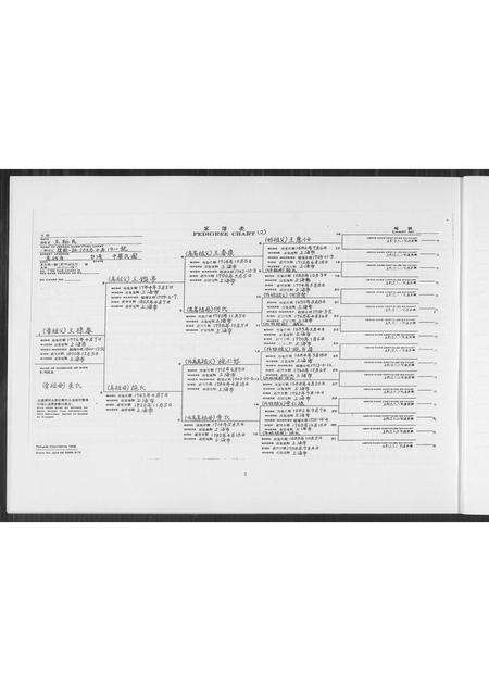 福建王氏族谱-王氏家谱.pdf电子版预览图4