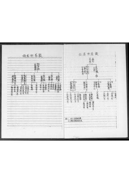 福建王氏族谱-王氏家谱.pdf电子版预览图4