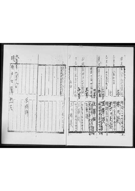 福建王氏族谱-王氏族谱.pdf电子版预览图4