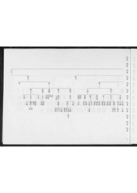 福建王氏族谱-王氏族谱.平湖公禄盛公渡台祖派下.pdf电子版预览图4