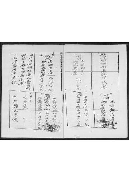 福建王氏族谱-王氏族谱.禄盛公支系.pdf电子版预览图4