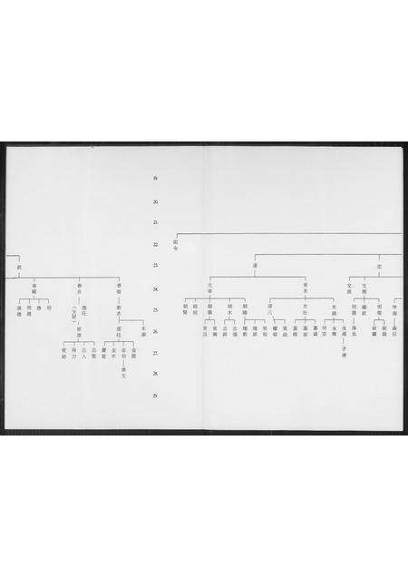 福建王氏族谱-王氏族谱.禄盛公派下.pdf电子版预览图4