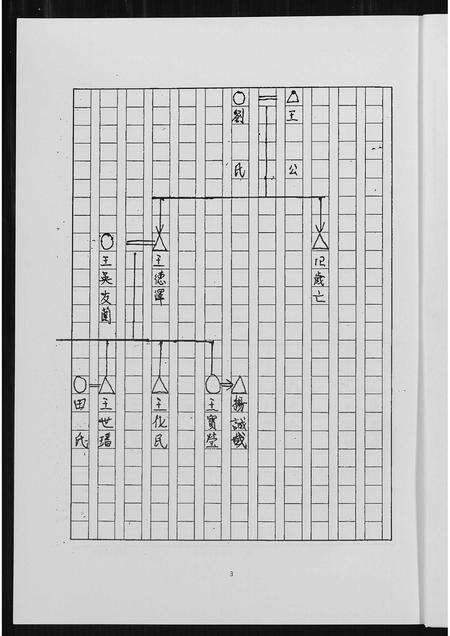 福建王氏族谱-王氏母系家谱.pdf电子版预览图4