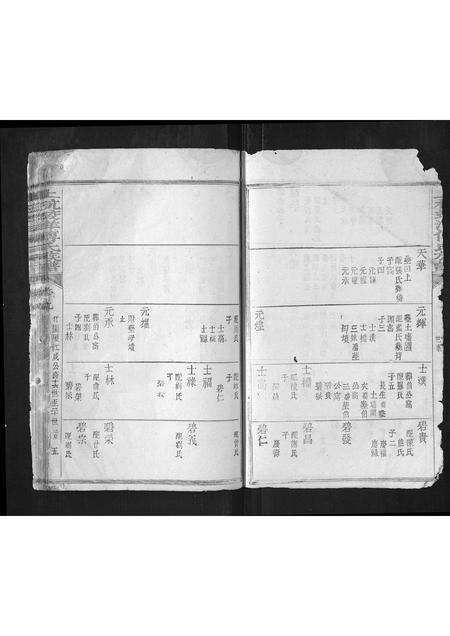 福建傅氏族谱-上杭蛟洋傅氏族谱.pdf电子版预览图4