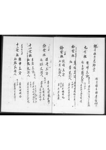 福建王氏族谱-种德堂 王圣本户永兴号族谱.pdf电子版预览图5