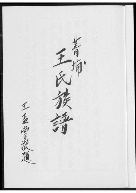 福建王氏族谱-菁埔王氏族谱.pdf电子版预览图5