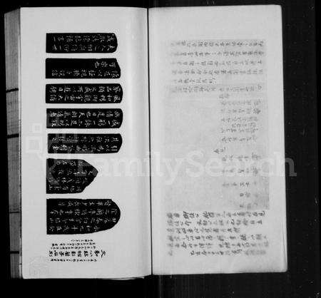福建王氏族谱-西清王氏族谱.pdf电子版预览图5