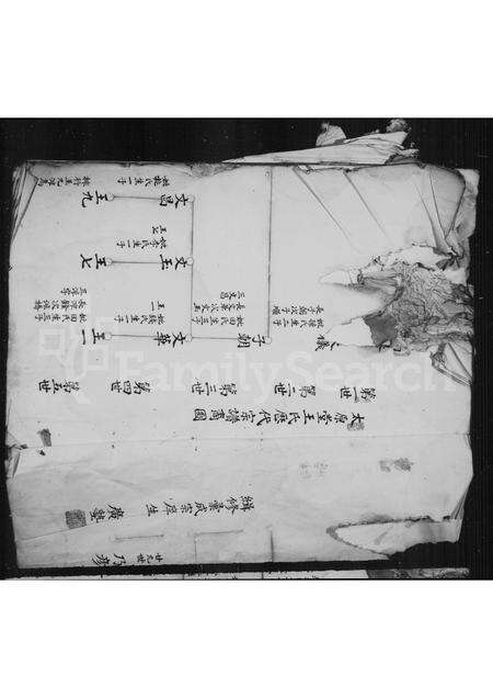 福建王氏族谱-[王氏族谱].pdf电子版预览图5